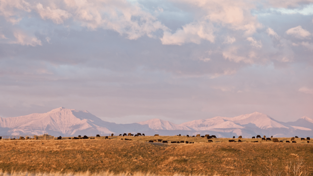 Colorado Mountain range 